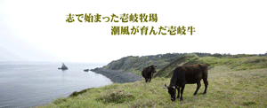 壱岐牛と景勝地
